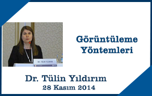 5-tulinyildirim